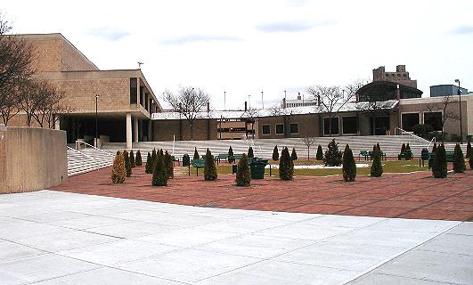 [Dwarf evergreens at Essex County College]