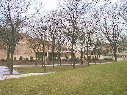 [Wider view of Essex County College campus]