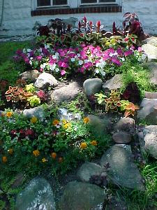 [Florid plantings at a private home in Vailsburg]