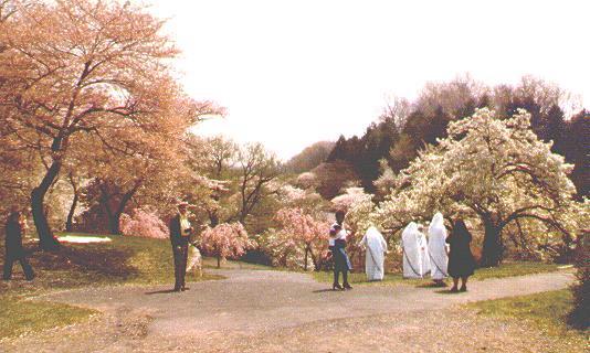 [Indian visitors to Branch Brook Park]