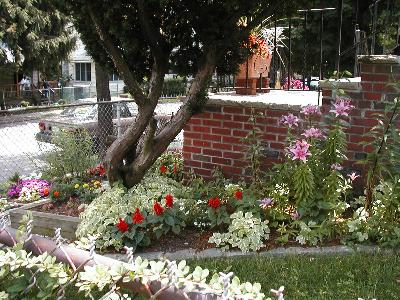 [Side garden, private home in Vailsburg]