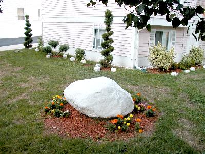 [Topiaries, rock centerpiece, private yard in Vailsburg]